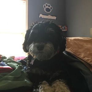 Meet your Posher, Anthony